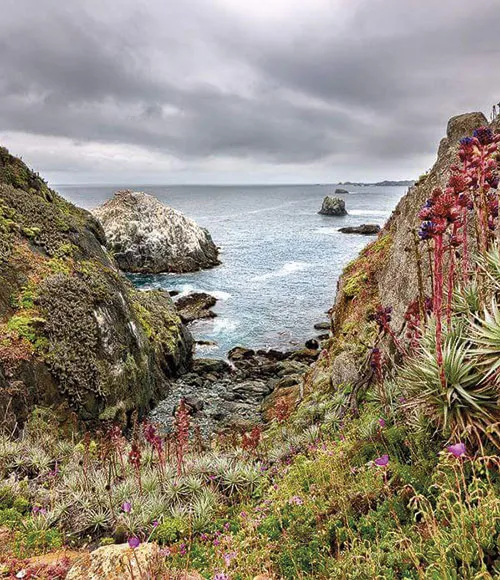 Costa de Los Molles