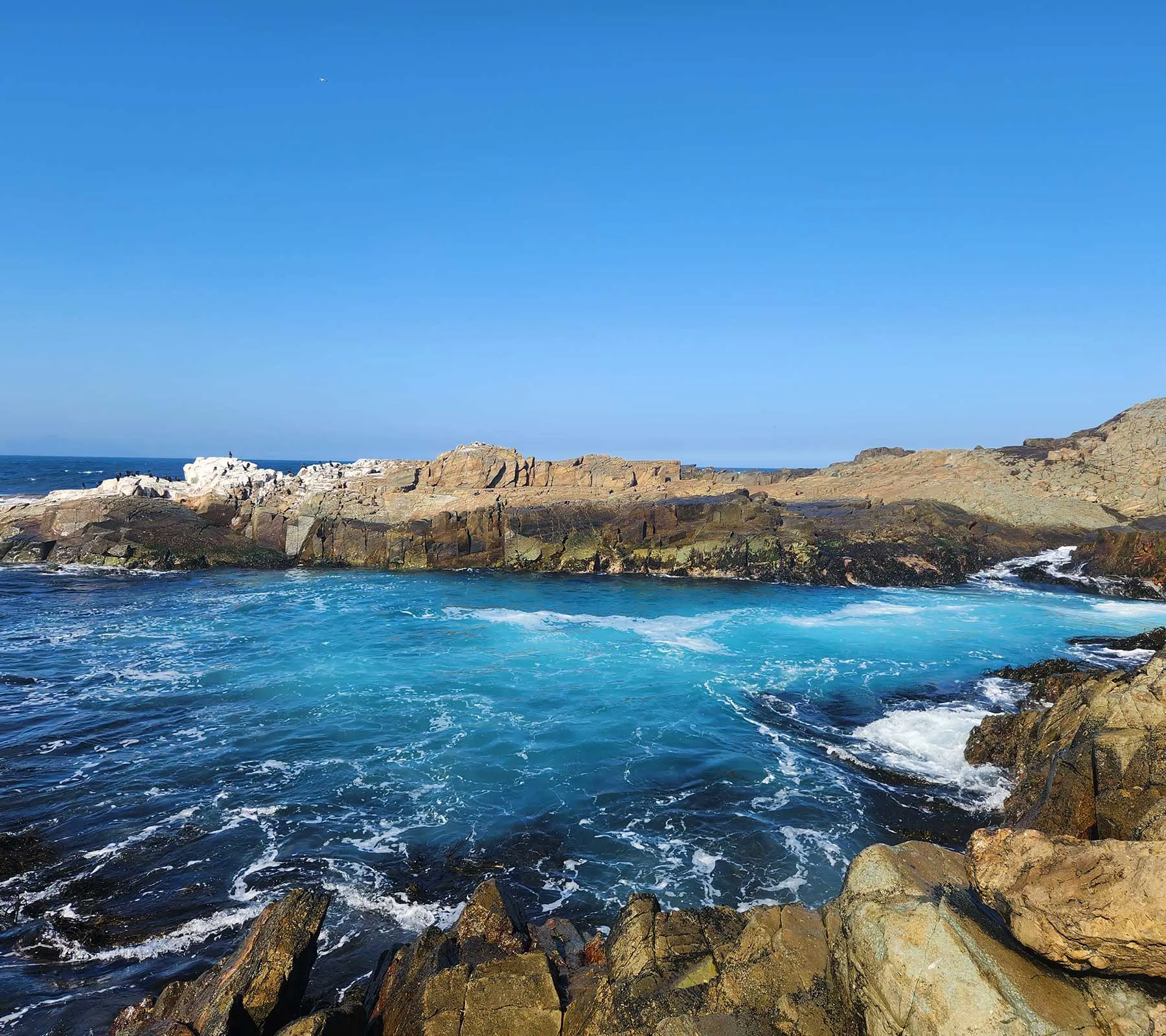 Surf en Los Molles